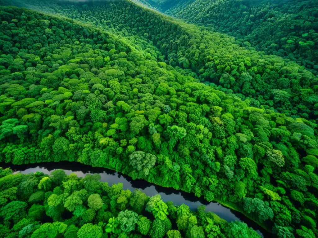 Vibrante selva tropical con ríos serpenteantes y estrategias indígenas para la supervivencia cultural frente al cambio climático